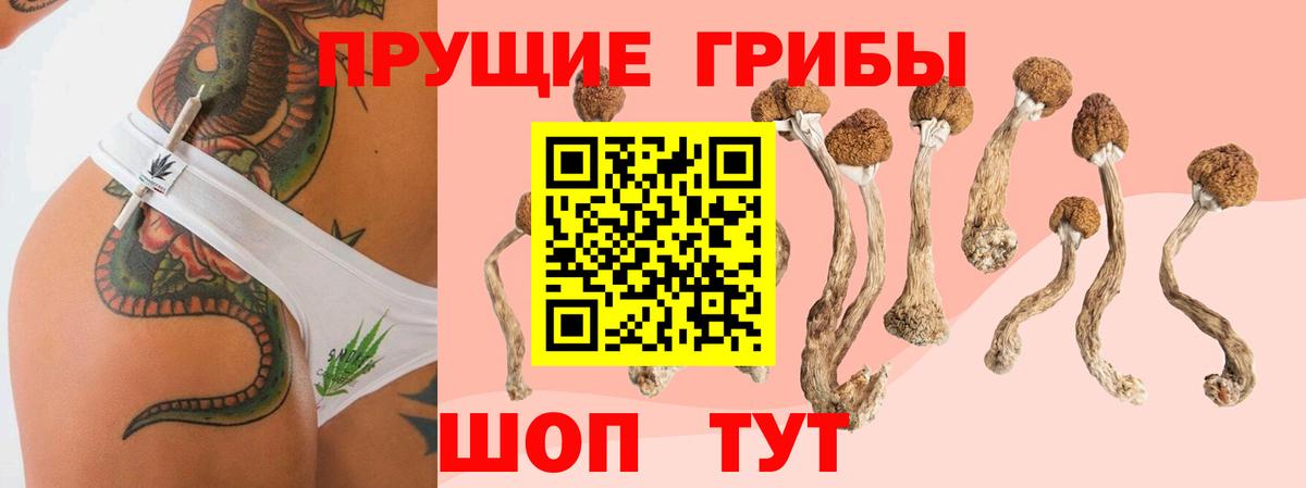 Галлюциногенные грибы MAGIC MUSHROOMS Химки