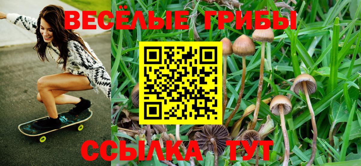 Галлюциногенные грибы Magic Shrooms  Вход с VPN  Химки  Псилоцибиновые грибы Cubensis 